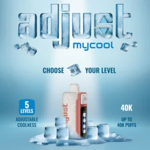 Adjust MyCool 40000 Puffs